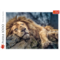 1000 Piece Jigsaw Puzzles, Sleeping Lion, Wild Animal Puzzle, Big Cats Puzzle, Adult Puzzles, Trefl 10447